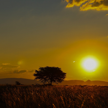 Amazing Sunset